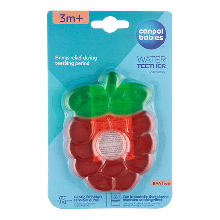 Canpol babies Water Teether FRUITS